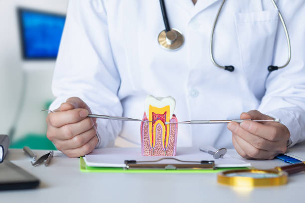 Best Weekend Emergency Dentist in Madisonville, TX